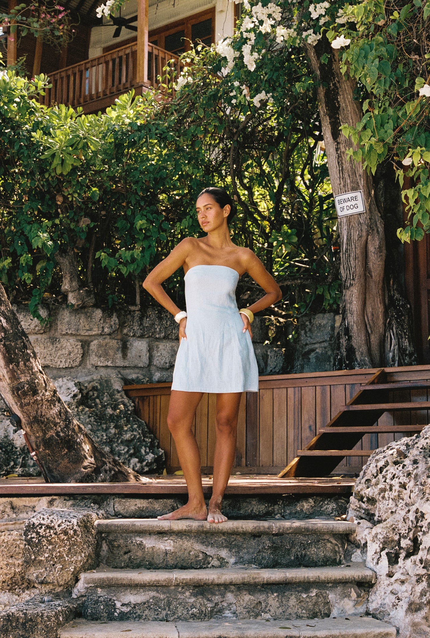 The Fustic Mini Dress